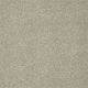 Platinum Texture 12' in Warm Oatmeal - Carpet by Shaw Flooring
