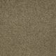 Bright Spirit I 12 in Green Tea - Carpet by Shaw Flooring