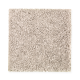 Top Card in Nomad - Carpet by Mohawk Flooring