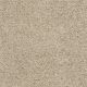 Enduring Comfort III in Clay Stone - Carpet by Shaw Flooring