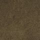 Panache in Khaki - Carpet by Masland Carpets
