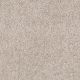 Easy Living I in Natural Linen - Carpet by Engineered Floors