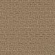 Concord in Peanut Shell - Carpet by Engineered Floors