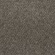 Whisper in Felicity - Carpet by Lexmark Carpet