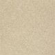 Bright Idea III in Warm Vanilla - Carpet by Shaw Flooring