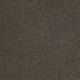 Shingle Creek IV 12' in Arrowhead - Carpet by Shaw Flooring