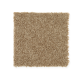 Active Spirit in Leather Bound - Carpet by Mohawk Flooring