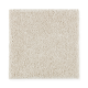 Exquisite Attraction in Luminescence - Carpet by Mohawk Flooring