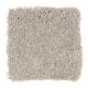 Enticing Objective in Stepping Stone - Carpet by Mohawk Flooring
