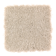 Enticing Objective in Masonry - Carpet by Mohawk Flooring