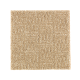 Natural Treasure in Brushed Suede - Carpet by Mohawk Flooring