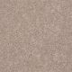 Full Court 12' in Flax Seed - Carpet by Shaw Flooring
