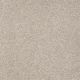 Great Effect II 12' in Soft Shadow - Carpet by Shaw Flooring