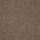 Dyersburg Classic 12' in Candied Truffle - Carpet by Shaw Flooring