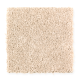 Wise Choice in Whole Grain - Carpet by Mohawk Flooring