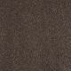 Secret Escape III 15' in Cup Of Java - Carpet by Shaw Flooring