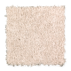 Wise Choice in Oak Panel - Carpet by Mohawk Flooring