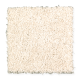 Wise Choice in Moonbeam - Carpet by Mohawk Flooring