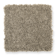 Chic Appearance in Magnolia Bud - Carpet by Mohawk Flooring