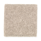 Creative Showcase III in Posh Almond - Carpet by Mohawk Flooring