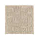 Casual Culture in Overcast - Carpet by Mohawk Flooring