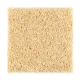 Sassy Arrangement in Pineapple - Carpet by Mohawk Flooring