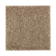Nature's Appeal II in Pine Cone - Carpet by Mohawk Flooring