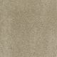 Quiet Comfort Classic II in Pecan Bark - Carpet by Shaw Flooring