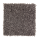 Wise Choice in Dried Peat - Carpet by Mohawk Flooring