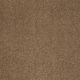 Sandy Hollow Classic I 12' in Windmill - Carpet by Shaw Flooring