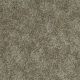 Distinction in City Scape - Carpet by Shaw Flooring