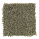 Sassy Arrangement in Cucumber - Carpet by Mohawk Flooring
