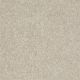 Elaine 12 in Dove - Carpet by Shaw Flooring