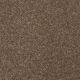 Highland Cove I 12 in Jute - Carpet by Shaw Flooring