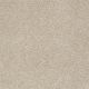 Newsline I 15' in Fresco - Carpet by Shaw Flooring