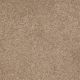 Sandy Hollow Classic I 12' in Muffin - Carpet by Shaw Flooring