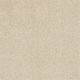 Flora in Icy Ivory - Carpet by Shaw Flooring