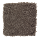 Graceful Glamour in Mineral Brown - Carpet by Mohawk Flooring