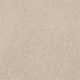 Design Texture Gold in Star Shine - Carpet by Shaw Flooring
