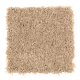 Smart Color in Cypress - Carpet by Mohawk Flooring