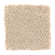 Enticing Objective in Whole Grain - Carpet by Mohawk Flooring