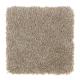 Creative Factor II in Teak - Carpet by Mohawk Flooring