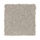 Soft Balance in Taupe Haze - Carpet by Mohawk Flooring