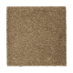 Pure Imagery in Leather Satchel - Carpet by Mohawk Flooring