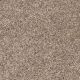 Easy Living III in Oak Manor - Carpet by Engineered Floors