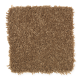 Winward Point in French Toast - Carpet by Mohawk Flooring