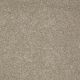 Poetic in Barely Taupe - Carpet by Shaw Flooring