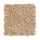 Brilliant Design in Cypress - Carpet by Mohawk Flooring