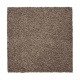 Splendid Freedom in Steeplechase - Carpet by Mohawk Flooring