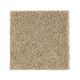 Nature's Appeal I in Hearth Beige - Carpet by Mohawk Flooring